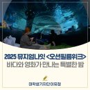 바다필름 네이버블로그