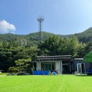 청춘 별을 쏘다 이미지