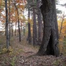 은하수펜션 이미지