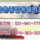 금촌종합동물병원 이미지