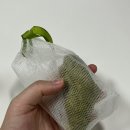 고체샴푸 만들기 이미지