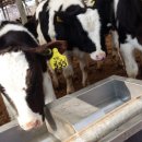 마장4리 이미지