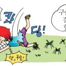 경심이네