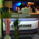 스펀지피시방 이미지