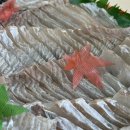 청춘수산 이미지