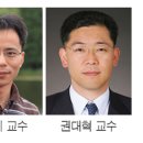 시뉴시스템