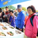 먹고놀자 이미지