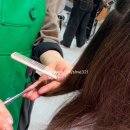 [상계동 미용실] 네이처헤어 상계백병원점 단풍디자이너커트 후기