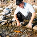 황쏘가리 이미지