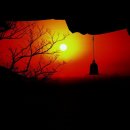 (주)예스투어 이미지