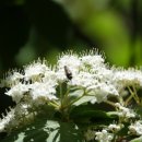 양화 금강변 이미지