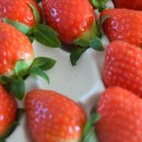 초이스농장 이미지