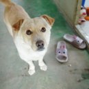 신영재동물병원 이미지