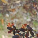 전천시민공원 이미지