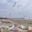 바다그림 이미지