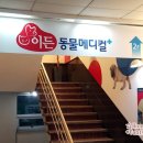 이든 동물메디컬 이미지