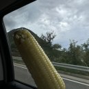 무주읍196 이미지