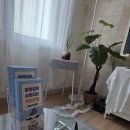 하하스테이 | 제주시숙소 하하스테이 숙박 후기, 번화가 근처 접근성 최고!