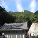 팔공컷트