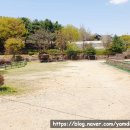 초록산등산로 이미지