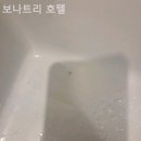 보나트리 호텔 | 해운대호텔 보나트리 호텔 깔끔한 침구 상태