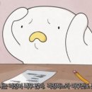 예스튜디오 - 서초구 신반포로43길 43 | 예스튜디오