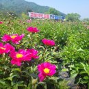 송이농장 이미지