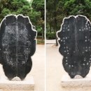 허난성 ㅡ 9. 약재에 글자가... 한자의 기원 갑골문은 어떻게 발견됐나 이미지