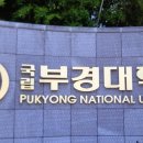 국립부경대학교 글로벌정책대학원 이미지