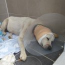 진숙농장 이미지