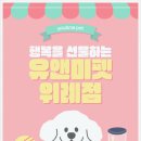유앤미펫 강아지분양 고양이분양 용인점 이미지