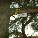 두승지맥 1차＜분기점-옥녀봉-밤고개-입암중학교＞失敗談(실패담) 이미지