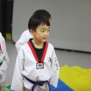 한샘태권도장 이미지