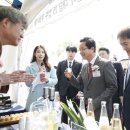 발효문화