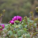 고려동유적지 이미지