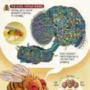 그냥 심심해서요. (51761) 초파리 뇌 지도 이미지