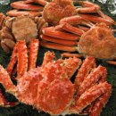 영덕대게 이미지