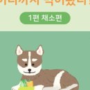 도담동물의료센터동물병원 이미지