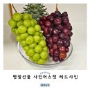 월명농장 | 추석 선물세트 제철과일 샤인머스켓 택배