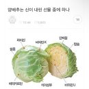 선자농장 | [늦여름~초가을] 인천으로 이행시 해보겠습니다