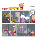 낭만돼지 이미지