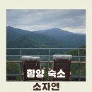소자연 | 소자연::지리산 중턱에서 만나는 가을단풍이 매력적일 힐링여행 함양숙소 솔직후기