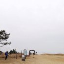 솔모랫길 이미지