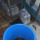 GS25  홍성신동아점 이미지