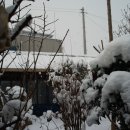 선화여관 이미지