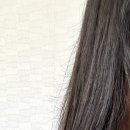 목련헤어라인 이미지