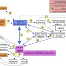 Re: nociplastic pain, 통증감작의 원인 '교감신경 과흥분, 미주신경 탈진' 이미지