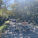 나봄야영장 이미지