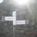 금계분교 초등학교 이미지