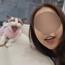 캣플코지눅 시화점 이미지